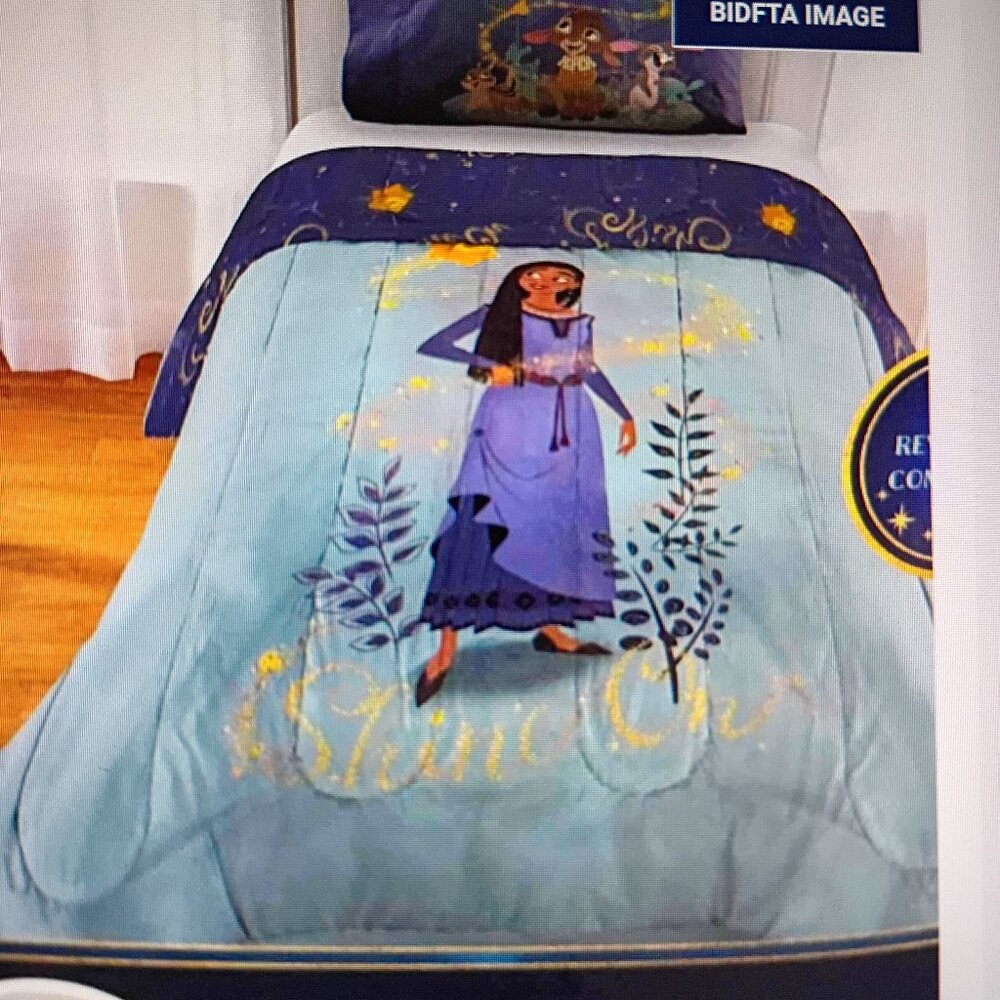 NWB/ Disney Wish, 2 Piece Comforter Set
